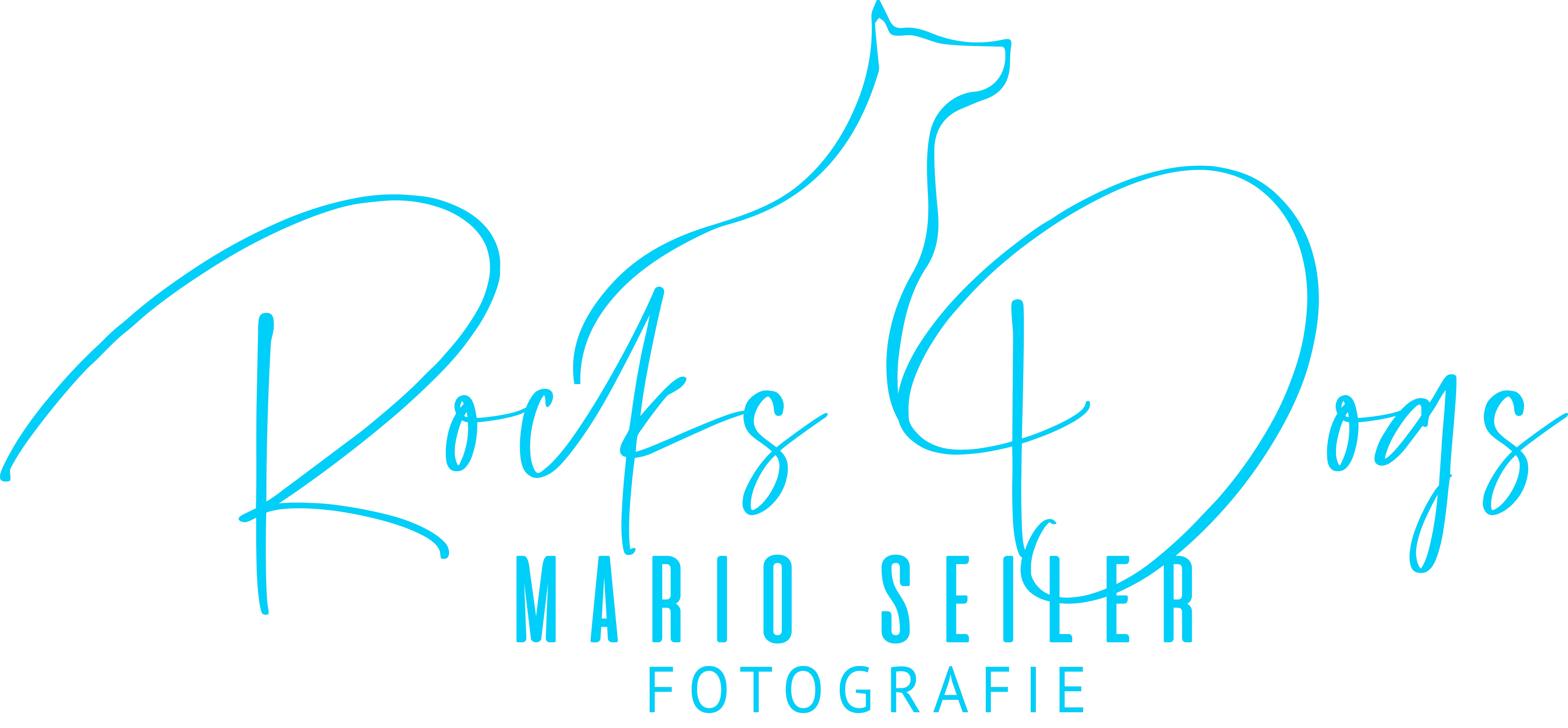 Fotografie aus Leidenschaft